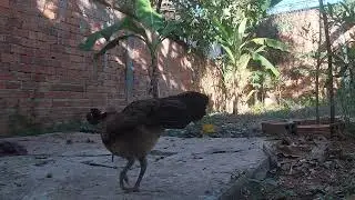 My GoPro Video
