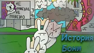 История Бони