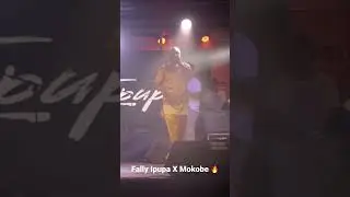 Fally Ipupa X Mokobe en Côte d’Ivoire 🇨🇮 #Shorts #FallyIpupa #Mokobe