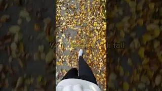 🍁🍂Fall Leaves ASMR #autumn #autumnleaves mn