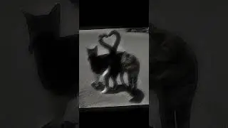 Dark Beach - Pastel Ghost (slowed + muffled)
