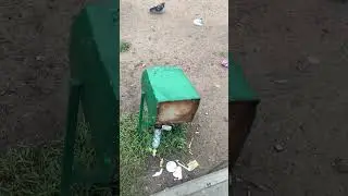 Урна получила по щам на Набережной #ореховозуево #лето #россия #подмосковье #russia #лайфхак