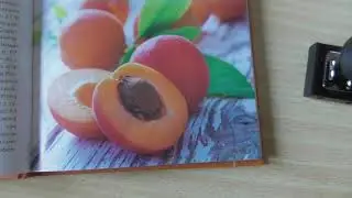 1 том Кулинарная энциклопедия.  Абгора.  Абердинские булочки.  Абрикос.