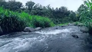Live Relaxing Water Sounds – Serene Nature Ambience for Deep Sleep & Stress Relief