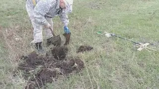 Металлокоп пиратский-МР41.(21.04.2021г.)