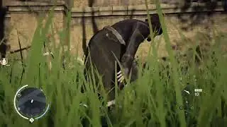 ののののののののののののののののの