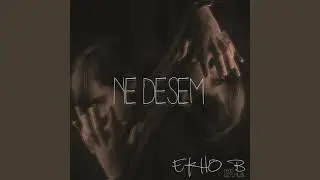 Ekho B - Ne Desem (Official Audio)