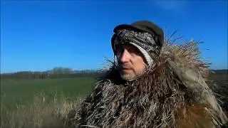 2016 Гусиная охота в Беларуси