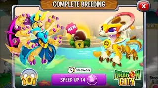 Dragon City: High Destiny Dragon vs Time Dragon [EXCLUSIVE BREEDING] 😱