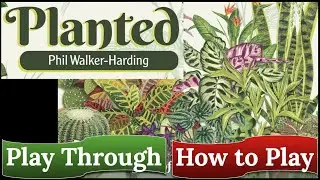 Planted: A Game of Nature & Nurture - How to Play & Play Through