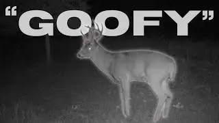 Hunting my #1 target buck (Epic RUT footage) | Week 6