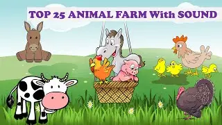 Top 25 Animal Farm with Sound | BUFFALO | CAMEL | DUCK | HORSE | DOG | CAT