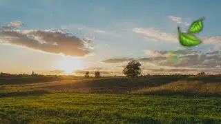 🍃 Som do Amanhecer na Fazenda (5h de Som de Pássaros pela Manhã para Relaxar e Acalmar)