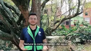 3   Compostaje