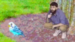 The Little Birdwatcher (music video)