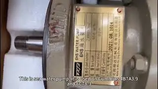 Sea Water Pump 3900176 for Cummins 4BTA3.9 and 6CT8.3