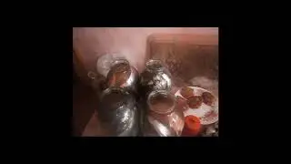 Селёдка. Сам поймал сам приготовил.
