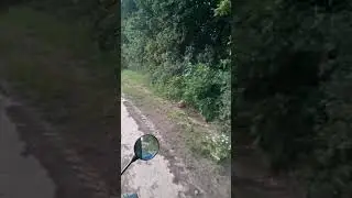 С ветерком домой после сенозаготовки 28.06.20