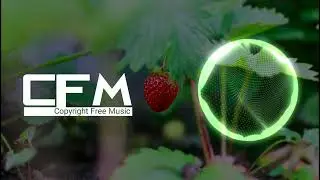 Royalty Free No Copyright Music For Content Makers - Free Background Music Without Copyright