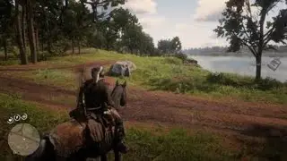 Red Dead Redemption 2 - Panther Pwned!