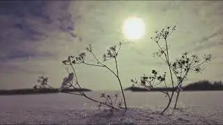 Р Рождественский  За датою  - дата #стихиожизни #поэты20века