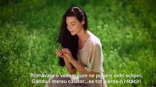 PRIMĂVARA