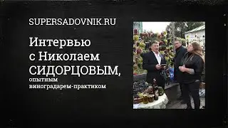 Интервью с Николаем Сидорцовым, опытным виноградарем-практиком