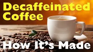 How is Coffee Decaffeinated? The Secret Behind Your Cup of Decaf!