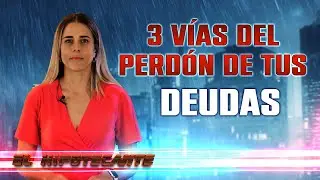 💸 Ley Concursal: 🥉 las 3 vías para exonerar tus deudas