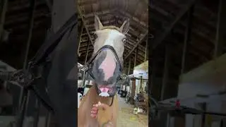 🍬😋
