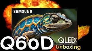 2024 Samsung Q60D Unboxing, Setup, & 1st Impressions