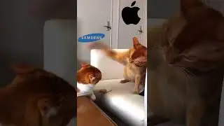 Apple VS SAMSUNG