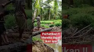 Perhatikan !!! mereka dapat ikan apa , malah lepas 