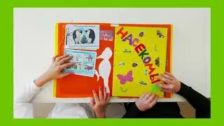 Интерактивная Чудо - книжка. Лэпбук.