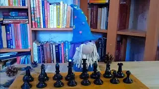 I tried to play chess with a gnome (bad idea)