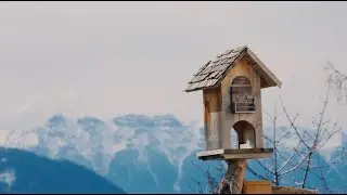 Parole e sguardi da una comunità