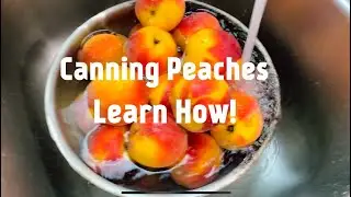 Learn how to can peaches! 🍑