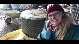 Silo foren un prootjen | Silo füttern und plaudern | mit UNTERTITEL!