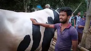 #amrit