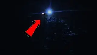 COP'S CHASE ME FOR NO REASON