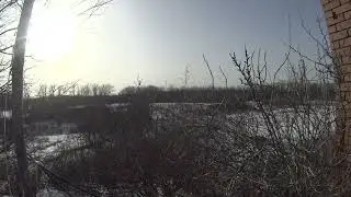Здоровое мнение о современных дамах и отношениях с ними