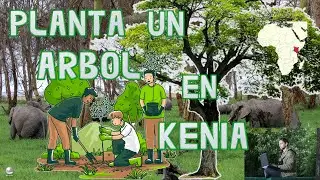 Ayuda a plantar un Árbol en Kenia, cada que utilizas la computadora 🌳