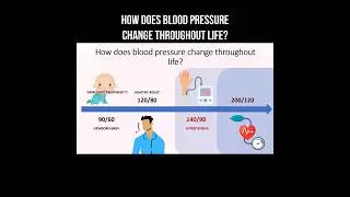 How does blood pressure change throughout life? #bloodpressure #hypertension #highpressure #health