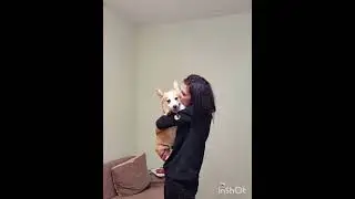 С ДНЕМ РОЖДЕНИЯ, ВАНЕССА!!!