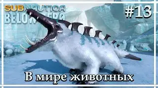 Центр робототехники 