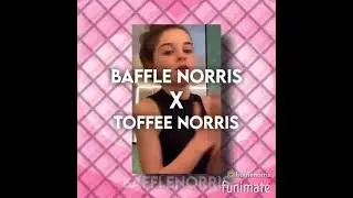 Colab With Toffee Norris
