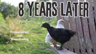 Permaculture and Homesteading - 8 Years Later