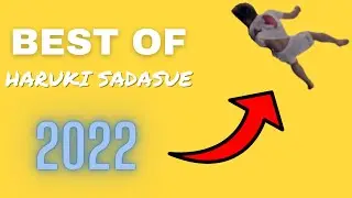 BEST OF HARUKI SADASUE (old)