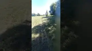 Покос травы вовсю идёт.