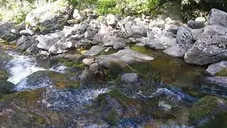Альпы. Горная речка. Природа. Релакс